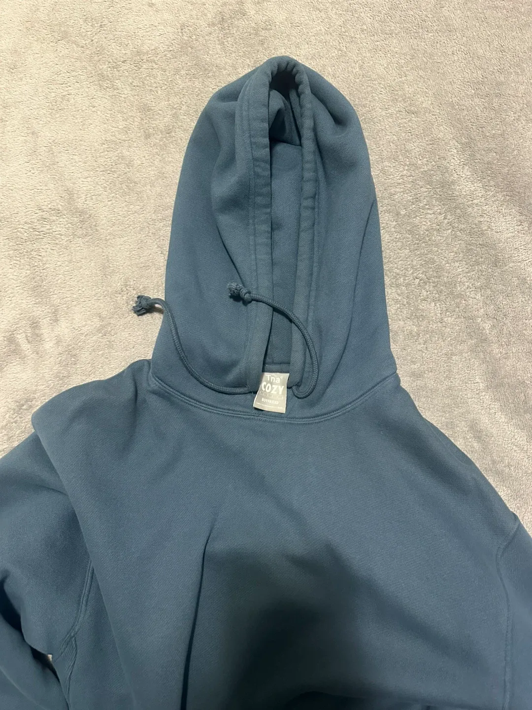 Aritzia Tna Cozy Fleece Boyfriend Hoodie - Blue image indicator(3)