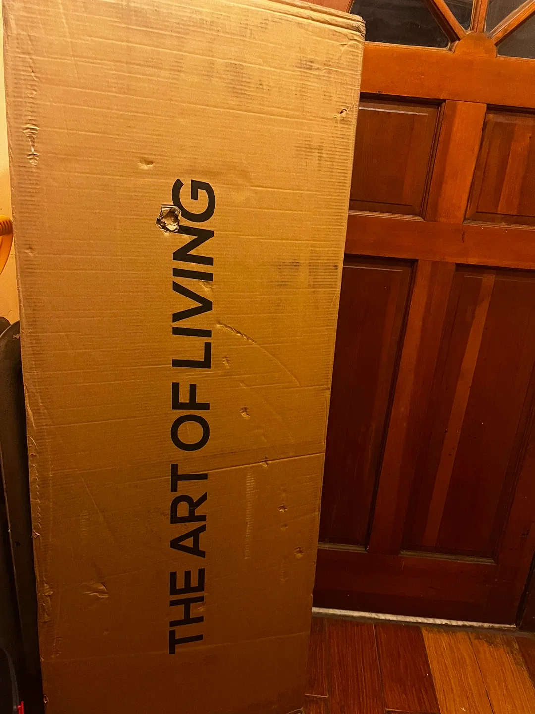 The Art of Living Green Velvet Bed image indicator(2)