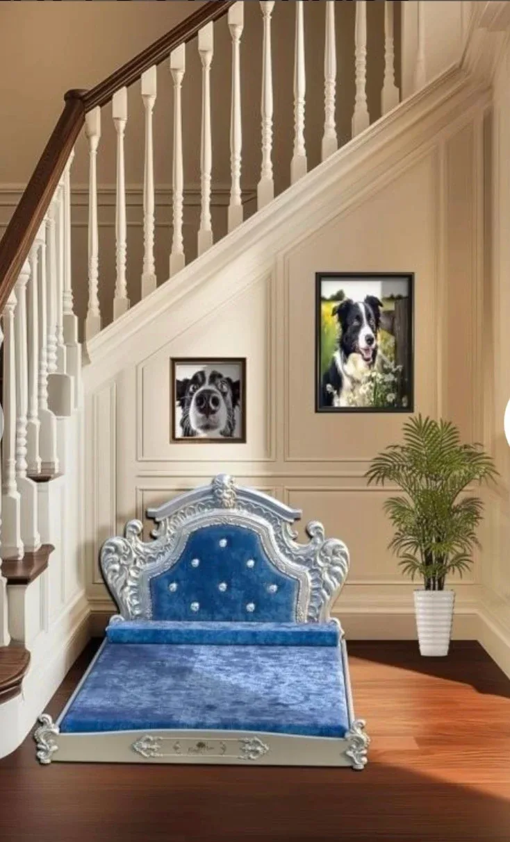 Dog/Pet Bed - Blue image indicator(2)