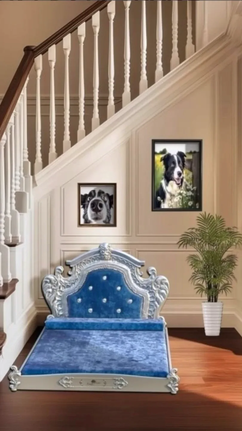 Dog/Pet Bed - Blue image indicator(3)