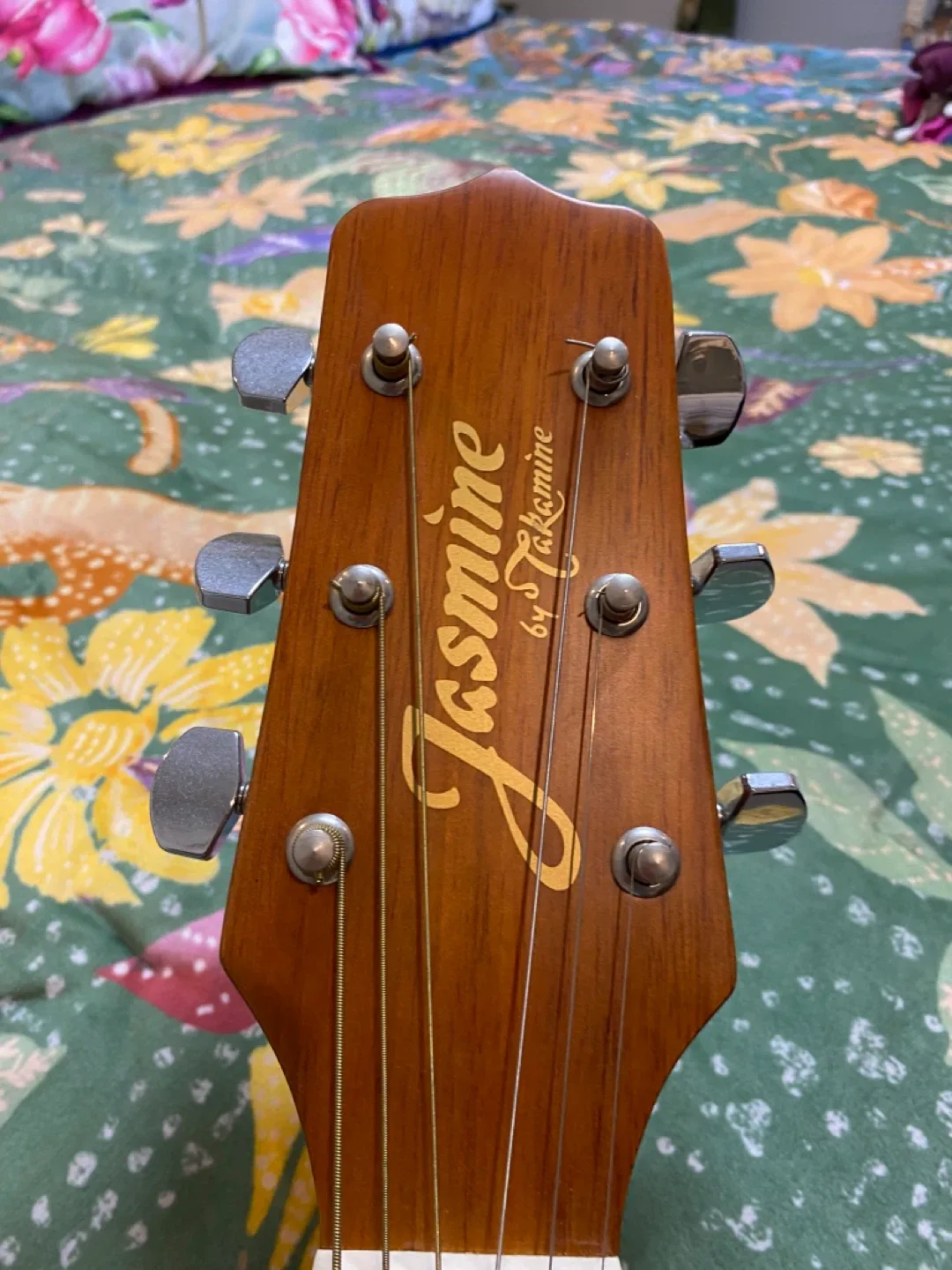 Jasmine by Takamine Acoustic Guitar image indicator(4)