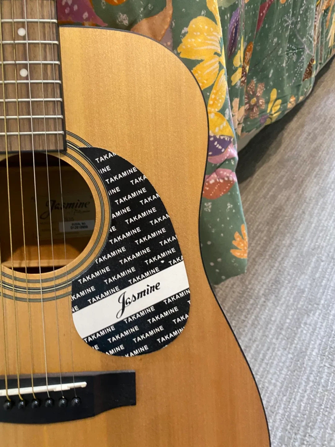 Jasmine by Takamine Acoustic Guitar image indicator(3)