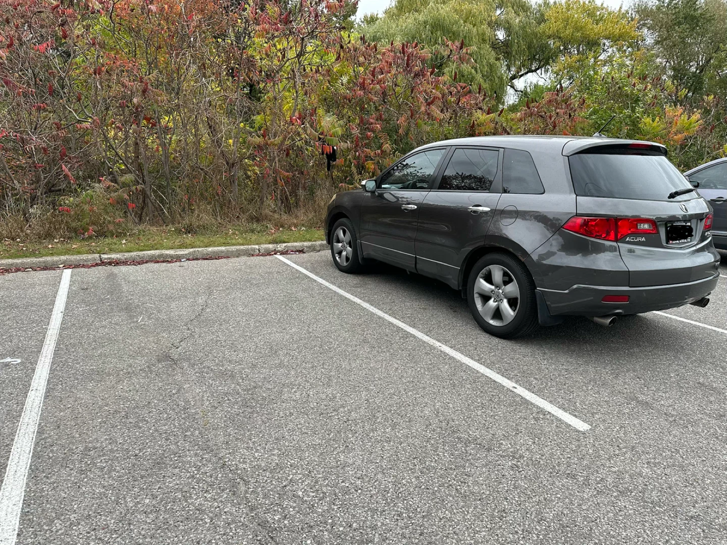Acura RDX SUV 2009 - photo 3