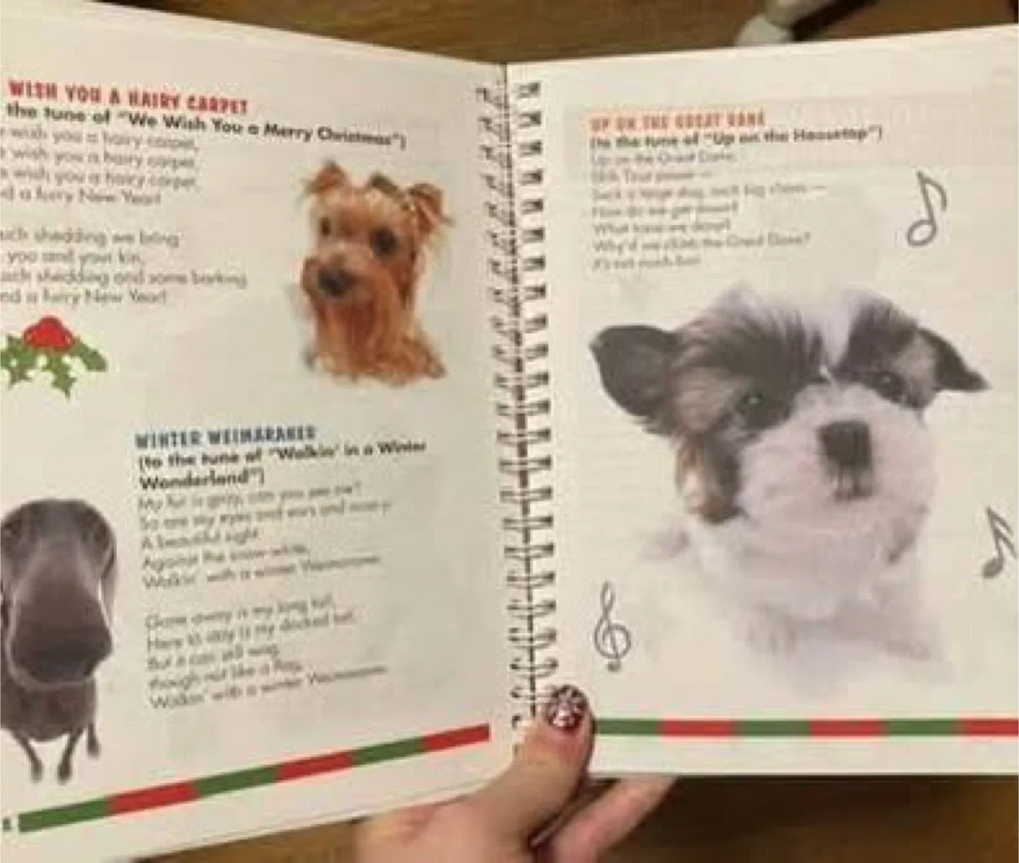 The Dog Holiday book (Giving away for FREE) image indicator(2)