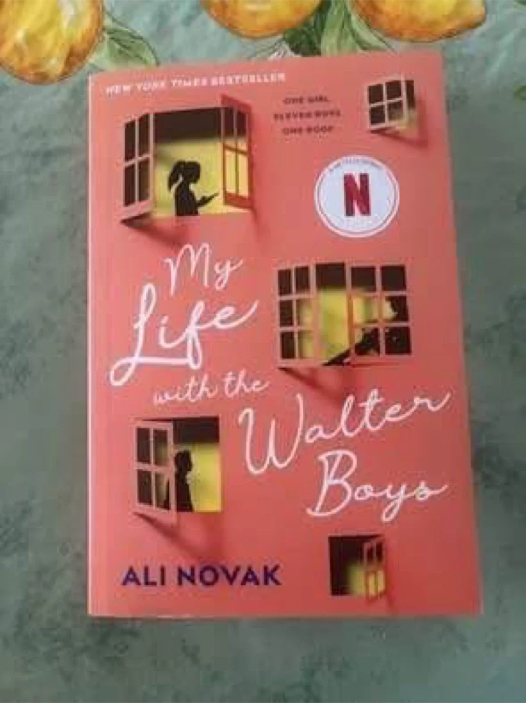 My life with the Walter boys book 1 & 2 (Both  together for $5) image indicator(2)