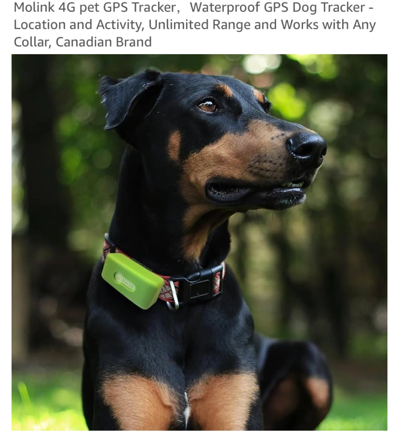 MoLink M200d 4G GPS Tracker for Dogs - photo 4