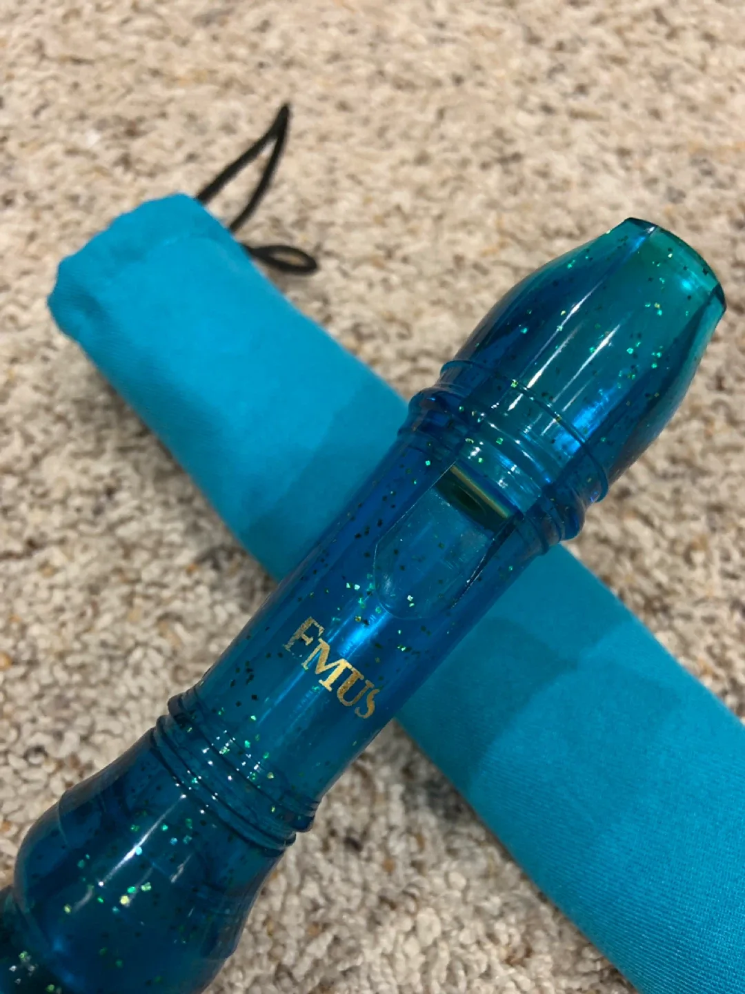 EMUS Blue Recorder with Case image indicator(2)