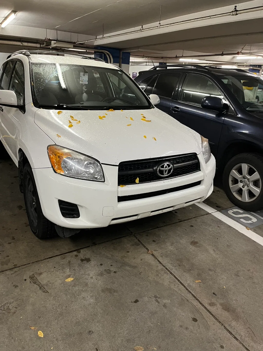 2010 Toyota RAV4 image indicator(2)