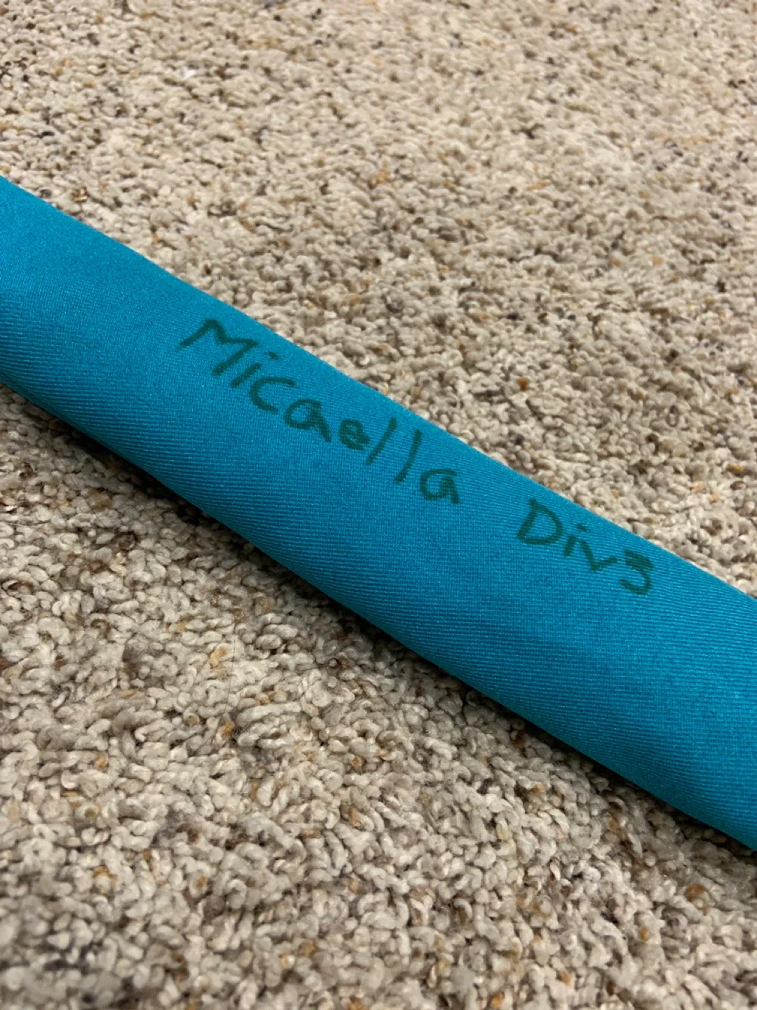 EMUS Blue Recorder with Case image indicator(3)