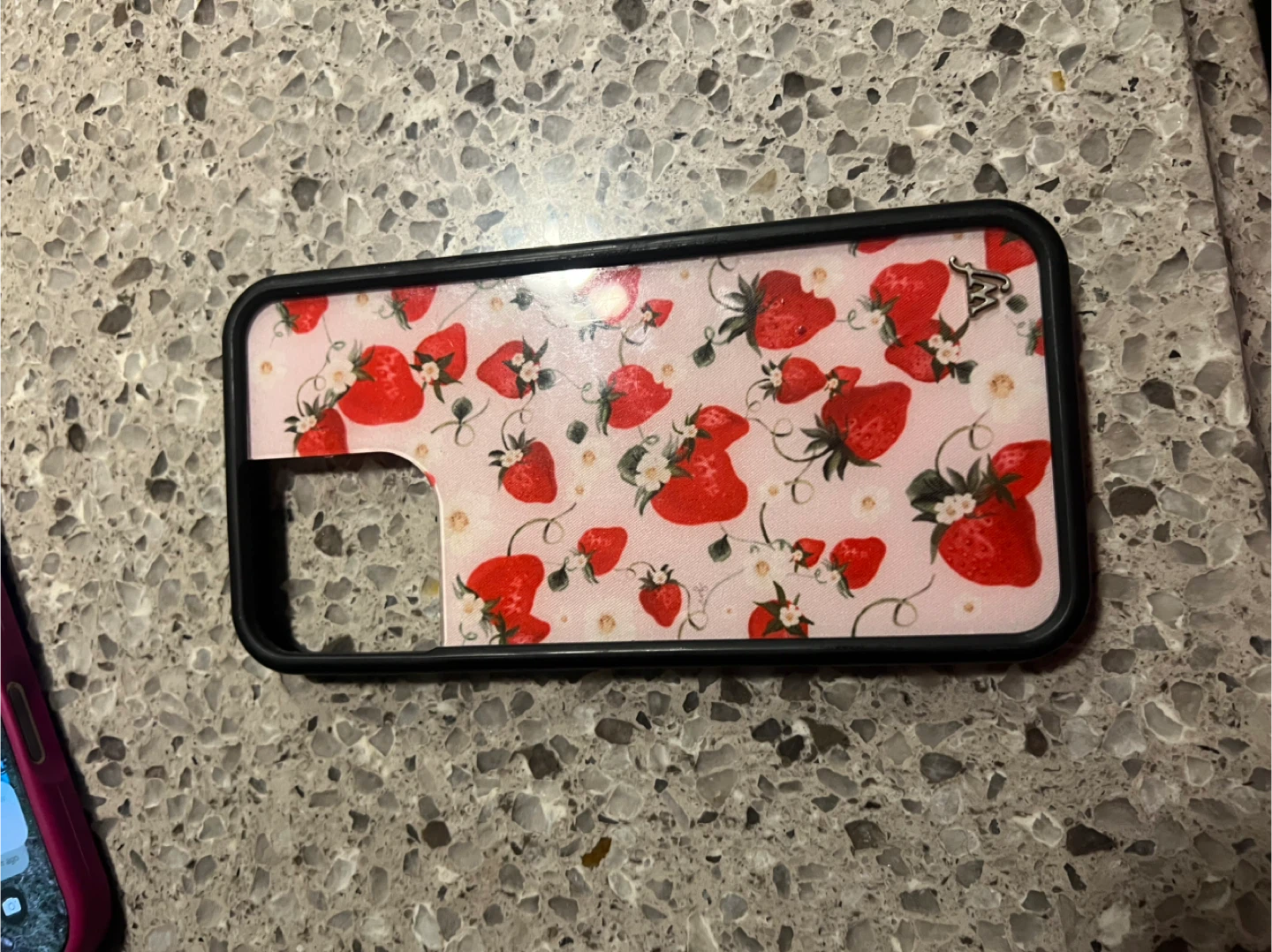 Strawberry iPhone 13 Pro Max Case