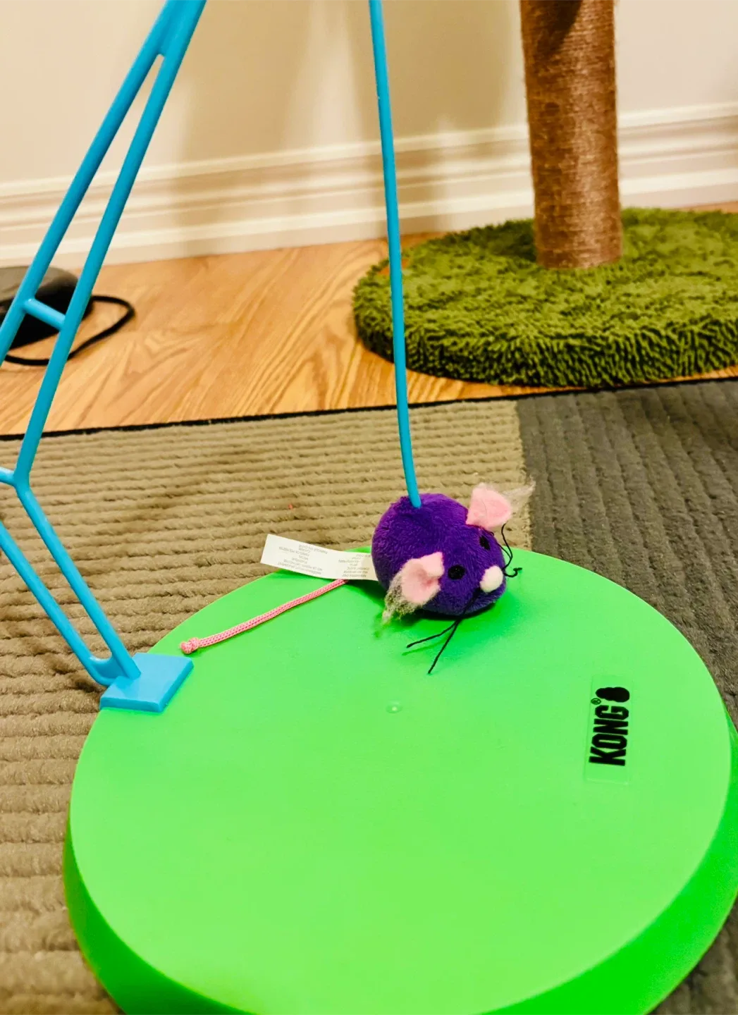 Kong Cat Active Toy image indicator(2)