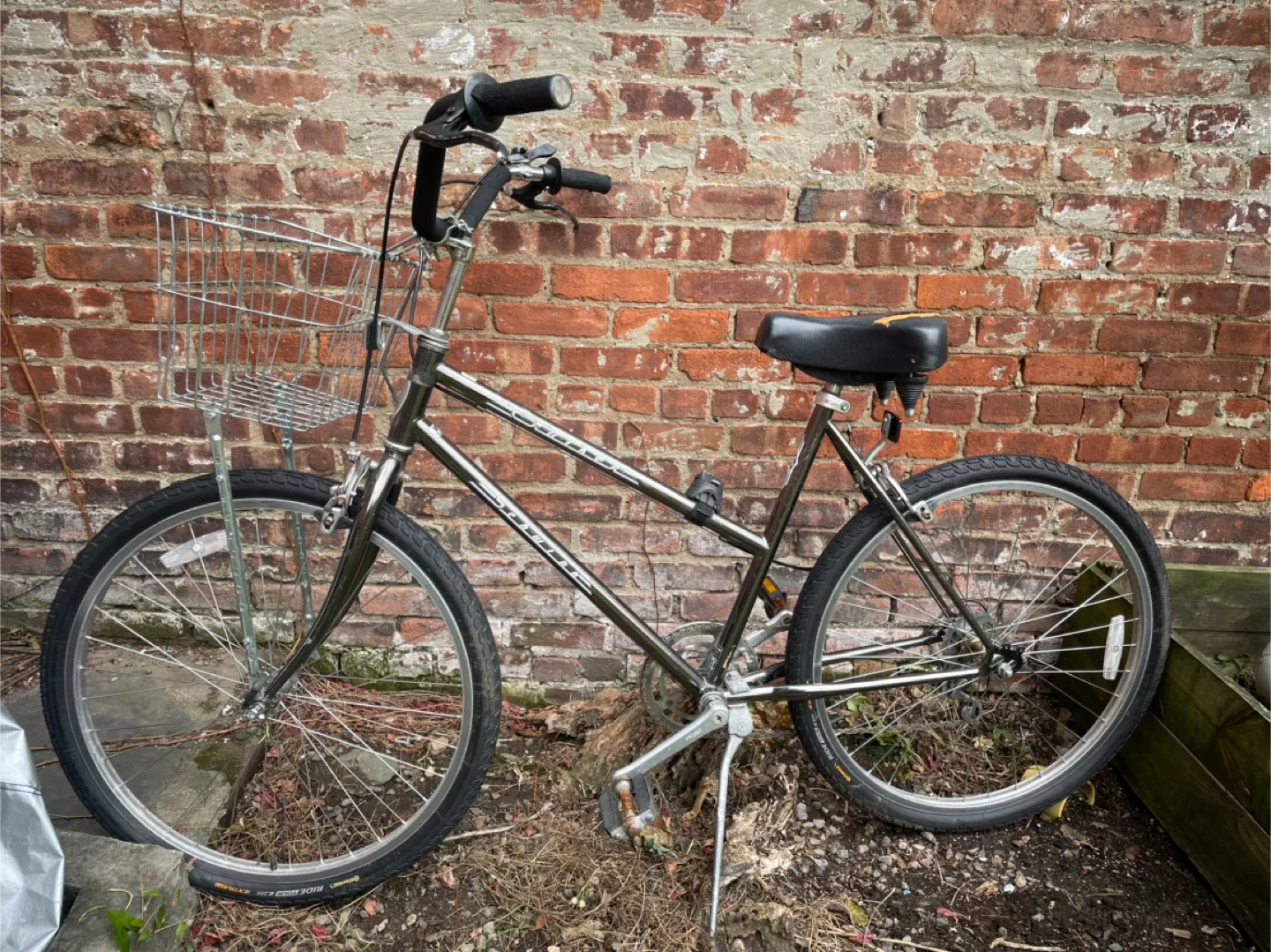 Cruiser bike with basket image indicator(2)