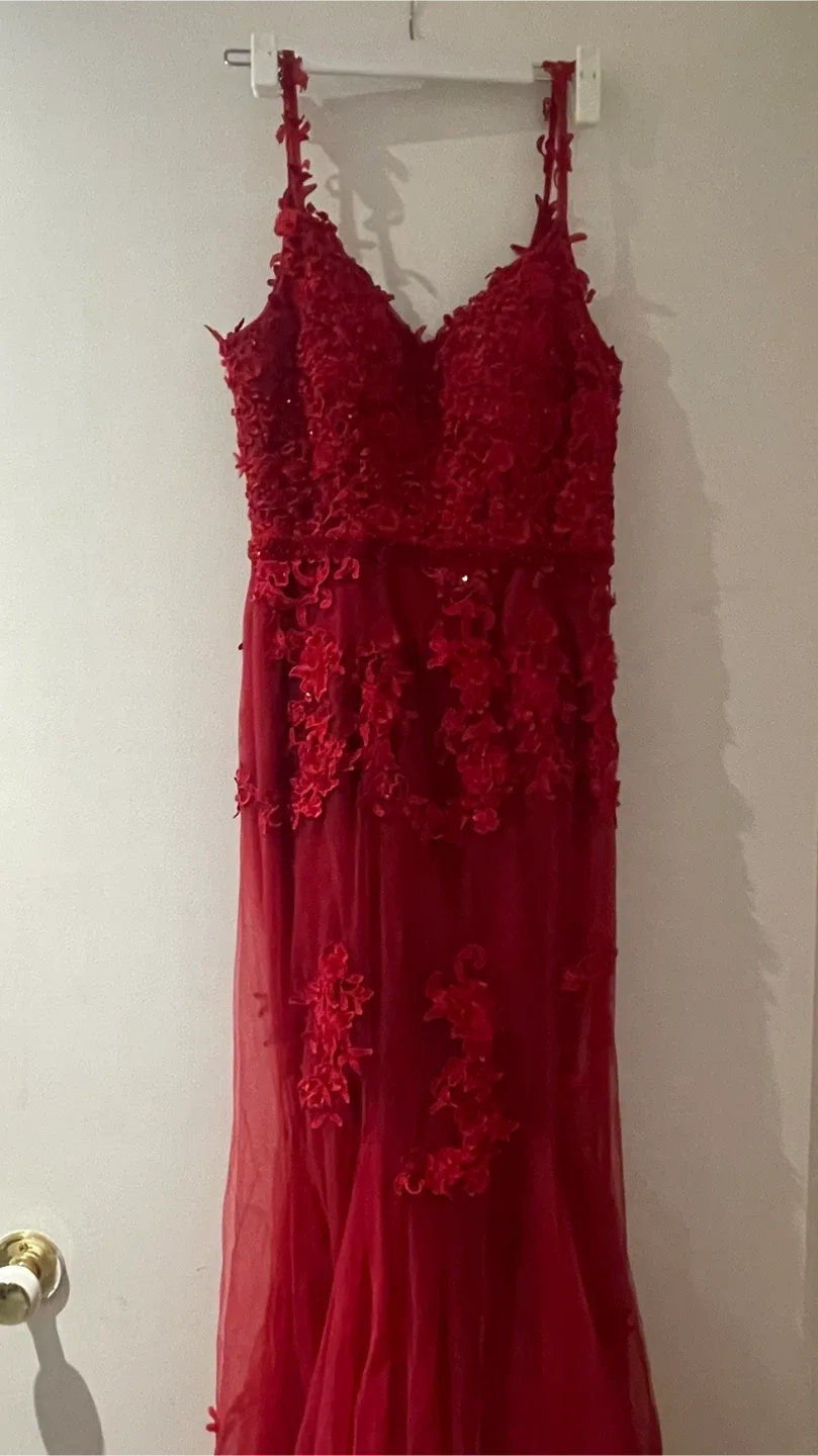 Red Formal Gown image indicator(4)