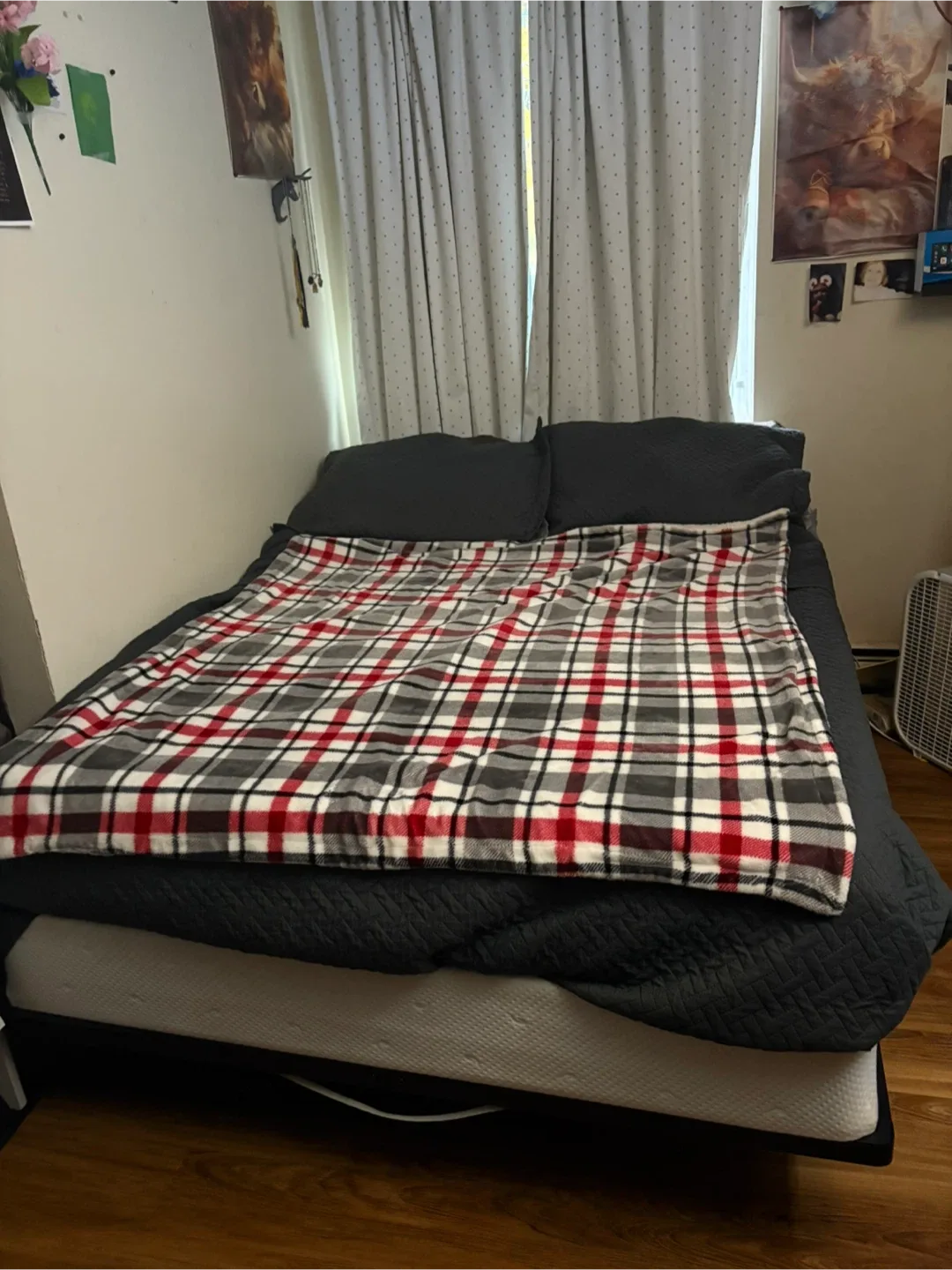 Full Size Metal Bed Frame and box spring