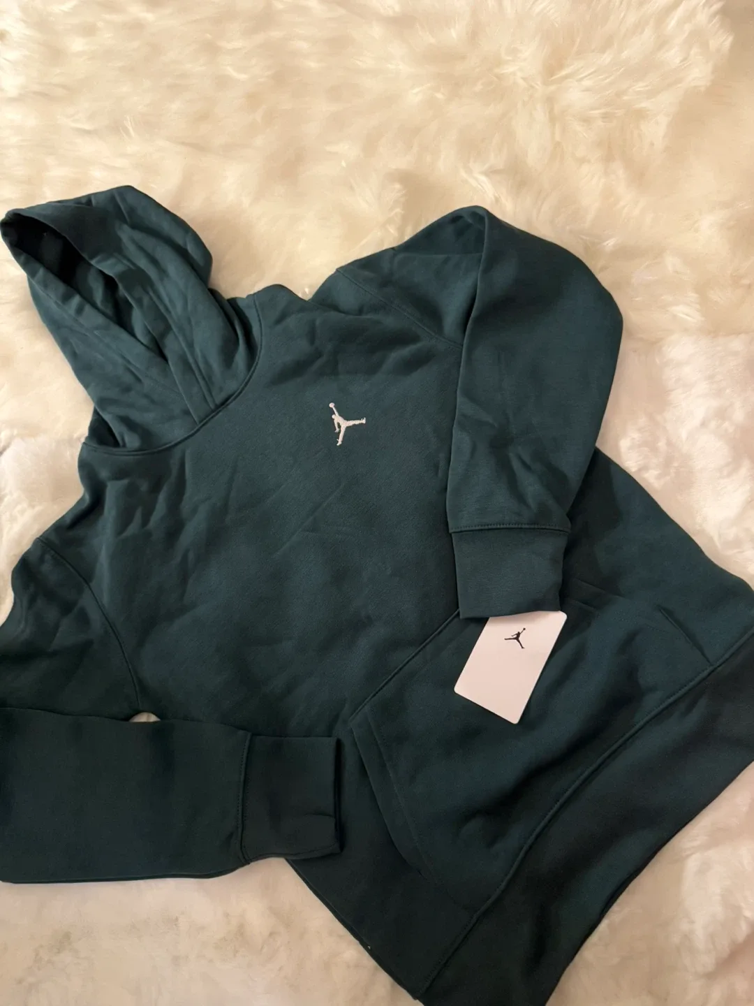 Jordan Oxizided Green M/M Hoodie - New with Tags! image indicator(2)