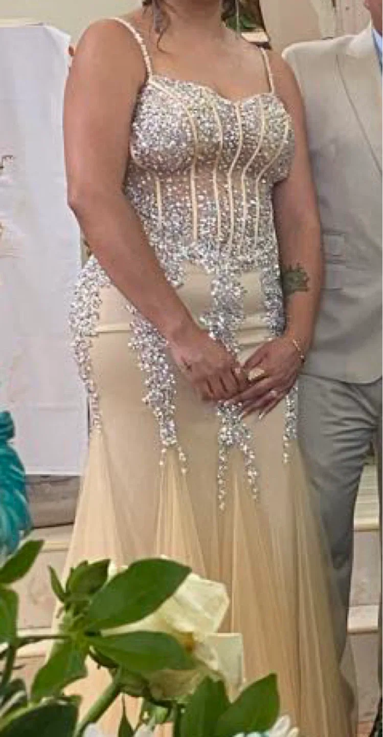 Sequin Embellished Evening Gown