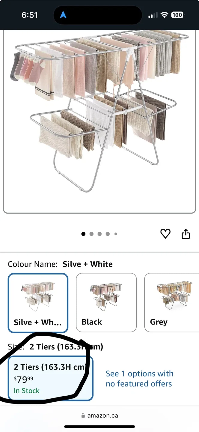 2-Tier Clothes Drying Rack - Silver & White image indicator(4)