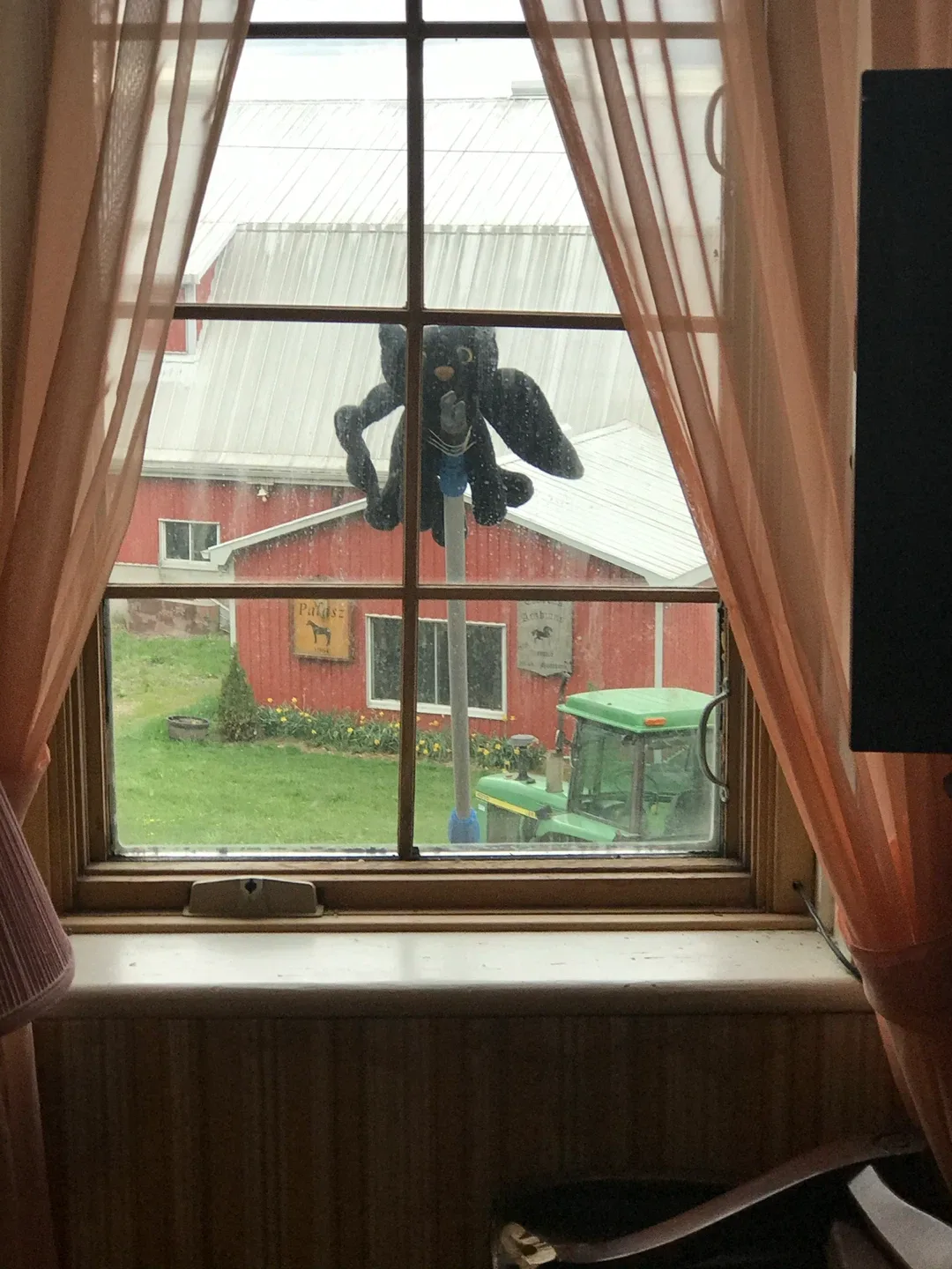 OWLCAT PLUSHIES image indicator(6)