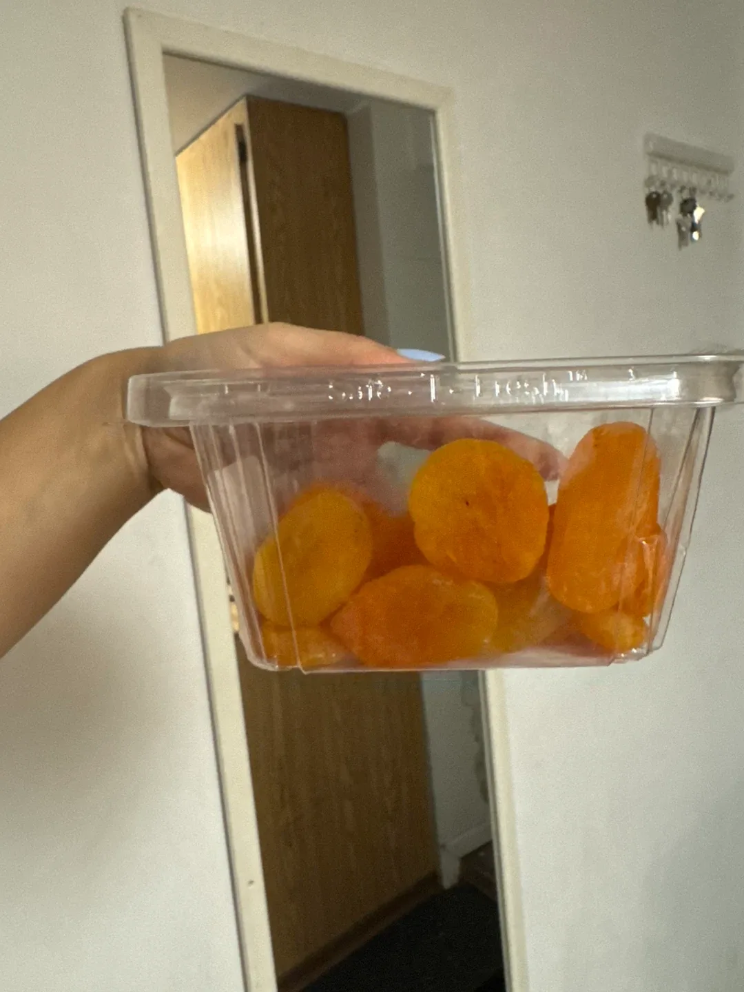 Joe's Tasty Travels Dried Turkish Apricots 100g FREE W/PURCHASE image indicator(2)