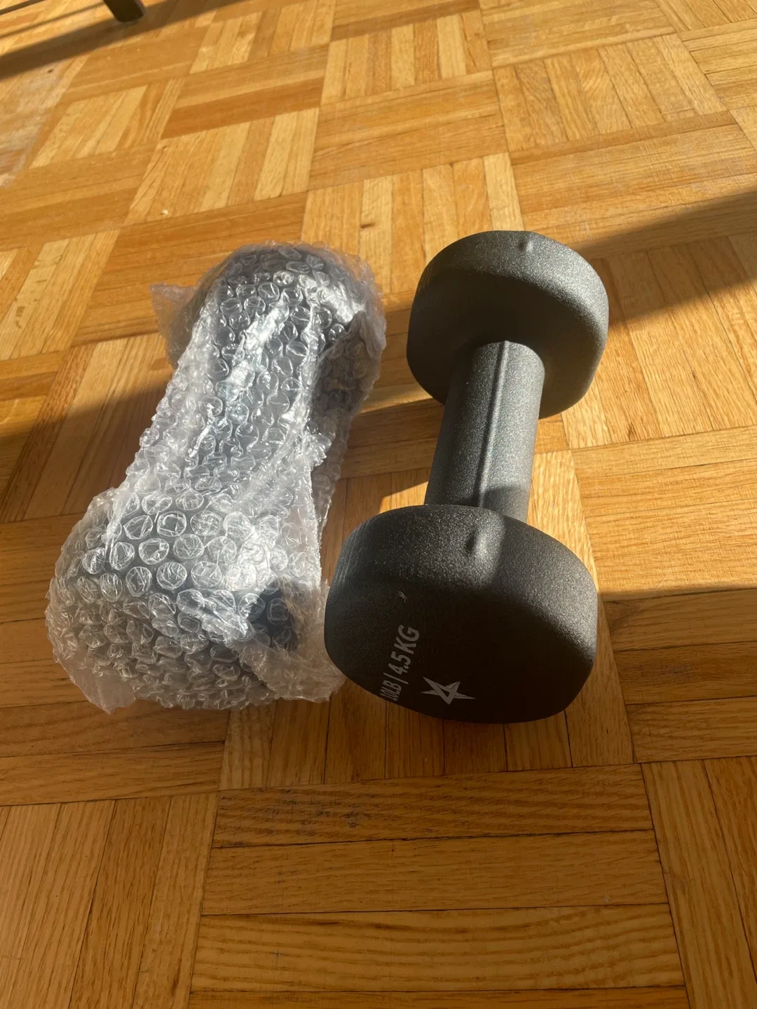 Star 10lb (4.5kg) Dumbbell Weight - New