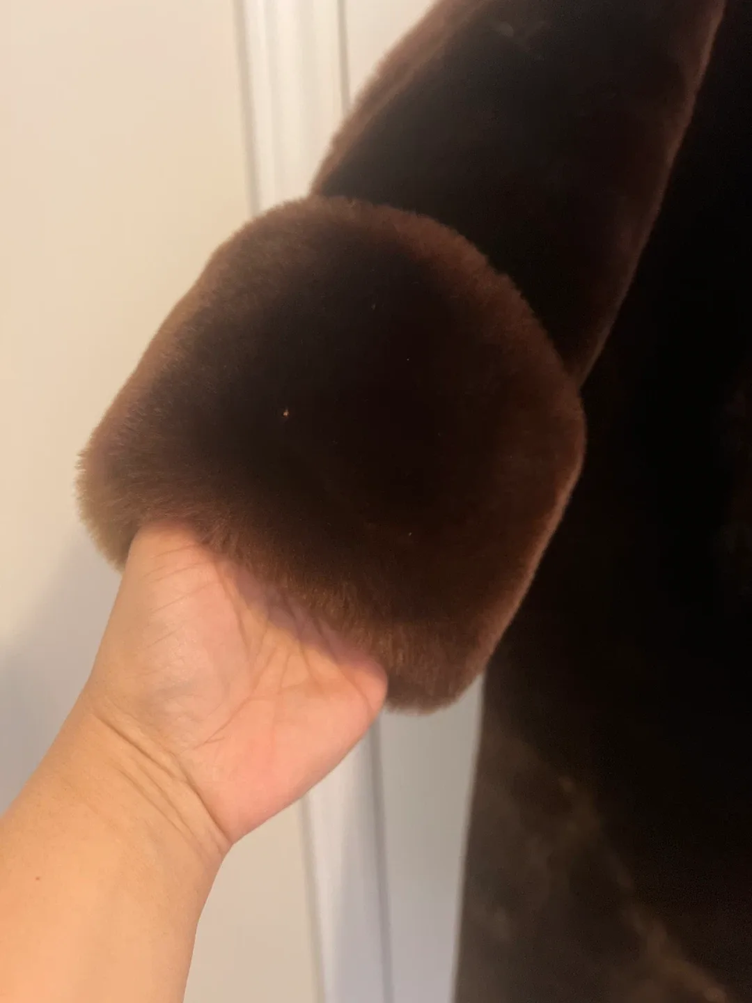 Reliable Fur Brown Coat image indicator(3)
