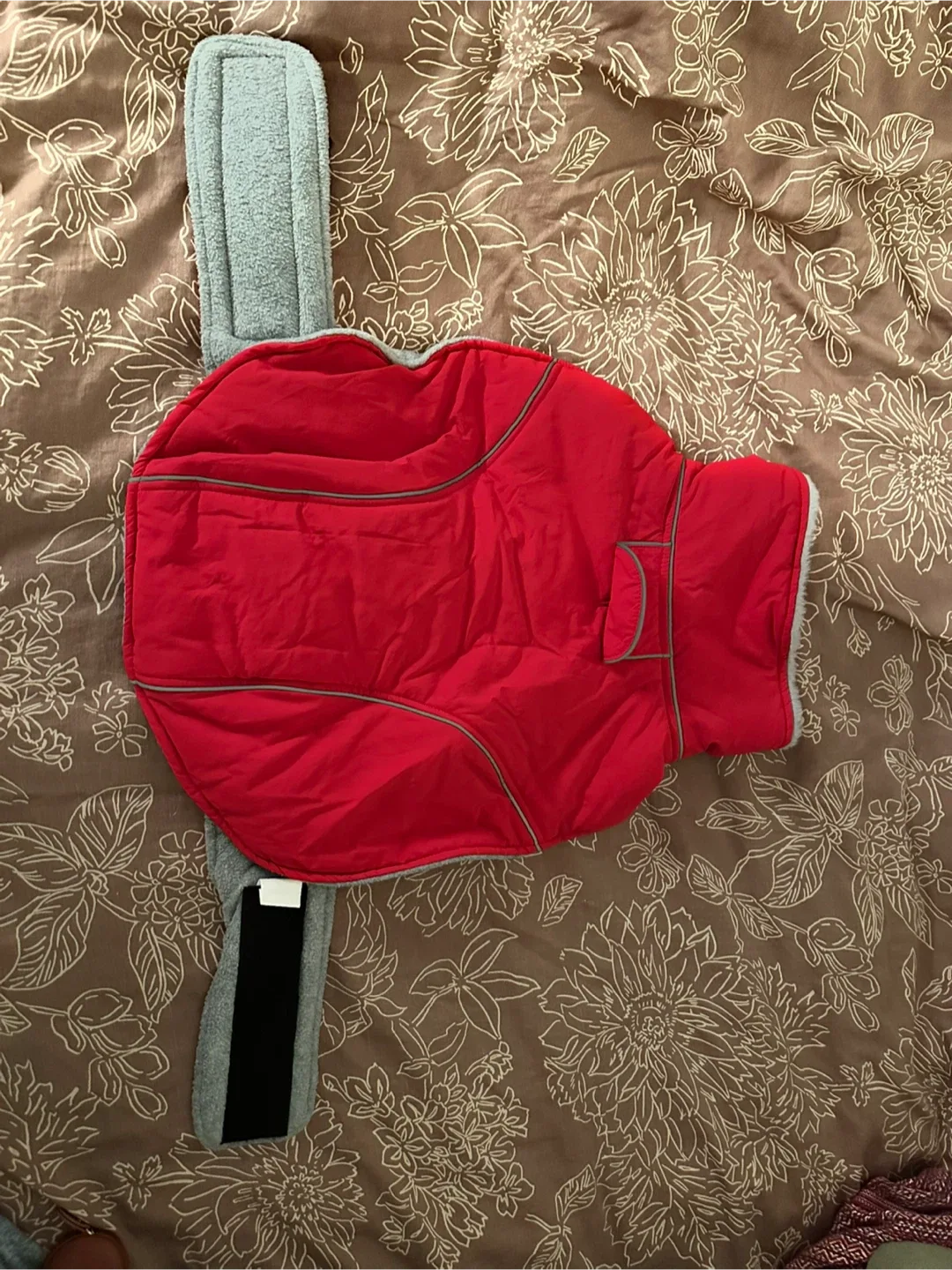 Dog coat large (but not really large)