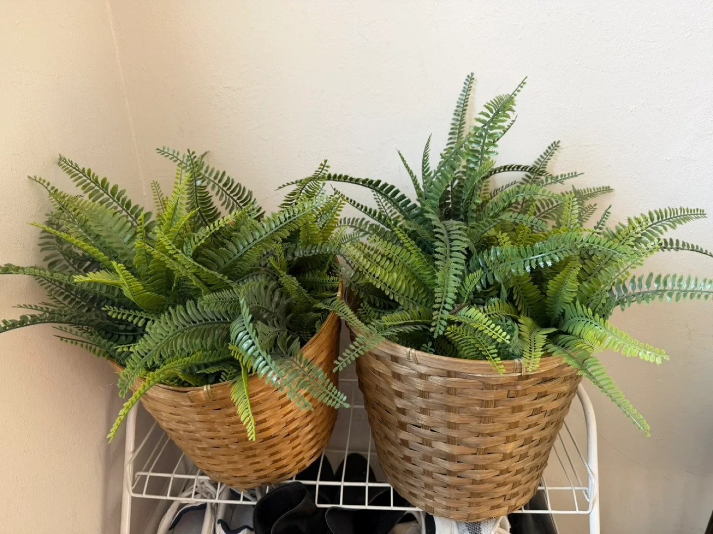 Artificial Fern Plant in 2 baskets image indicator(4)