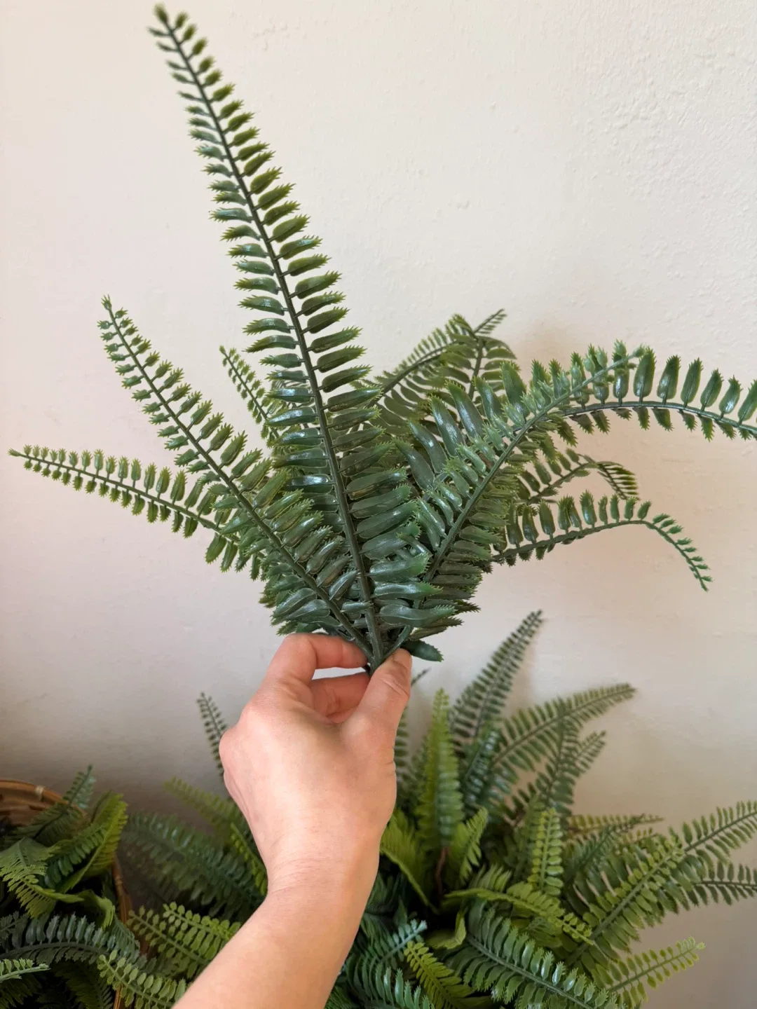 Artificial Fern Plant in 2 baskets image indicator(3)