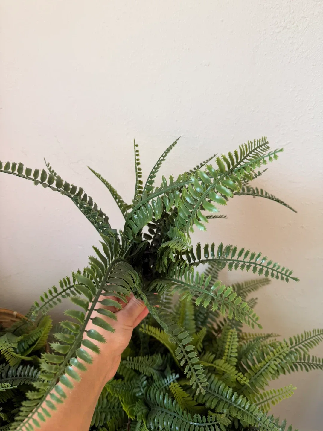 Artificial Fern Plant in 2 baskets image indicator(2)