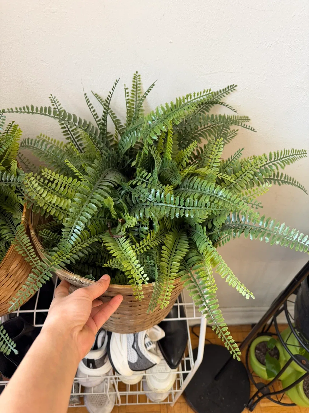 Artificial Fern Plant in 2 baskets thumbnail
