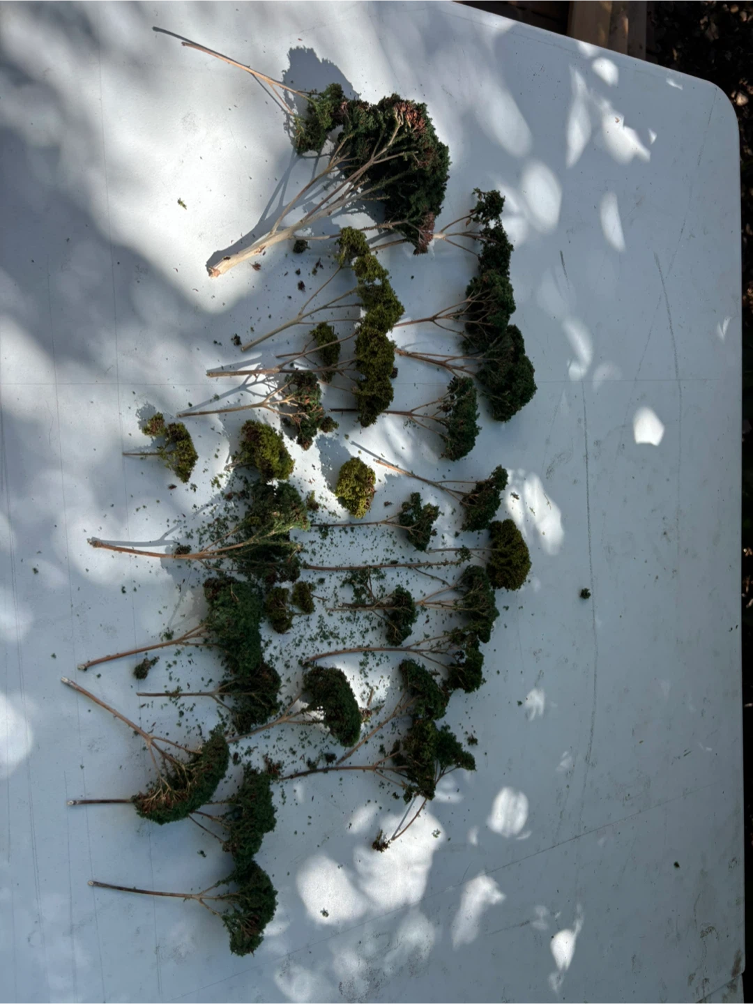 HO Scale Miniature Trees for Dioramas & Models - photo 2