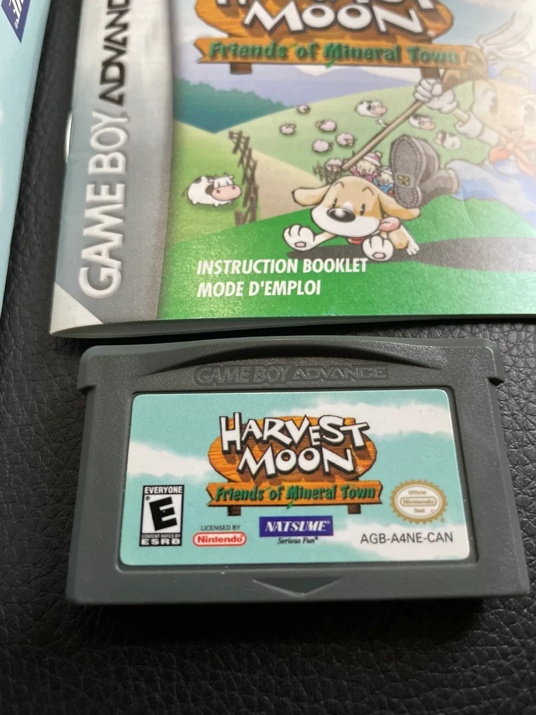 Harvest Moon Friends of Mineral Town gba game image indicator(2)