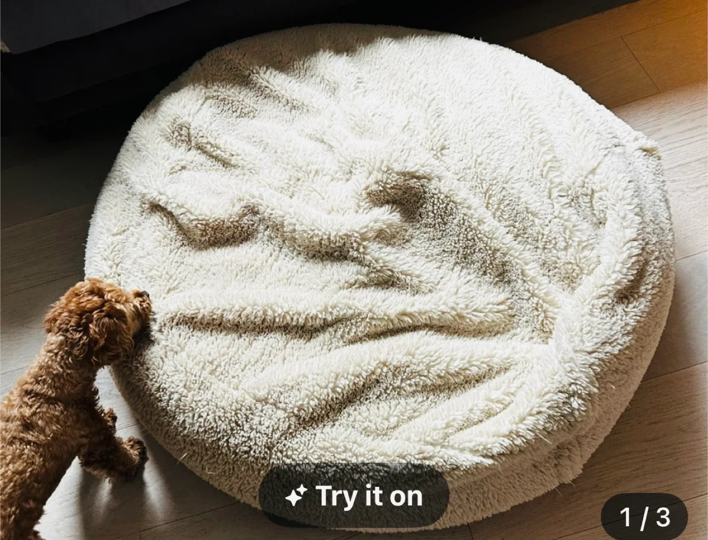 Pottery Barn Teen Ivory Sherpa Beanbag image indicator(2)