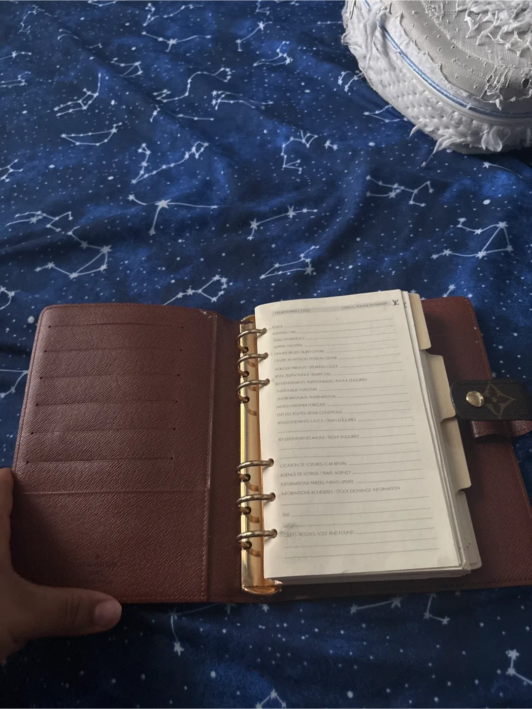 Louis Vuitton Medium Ring Agenda Cover image indicator(3)