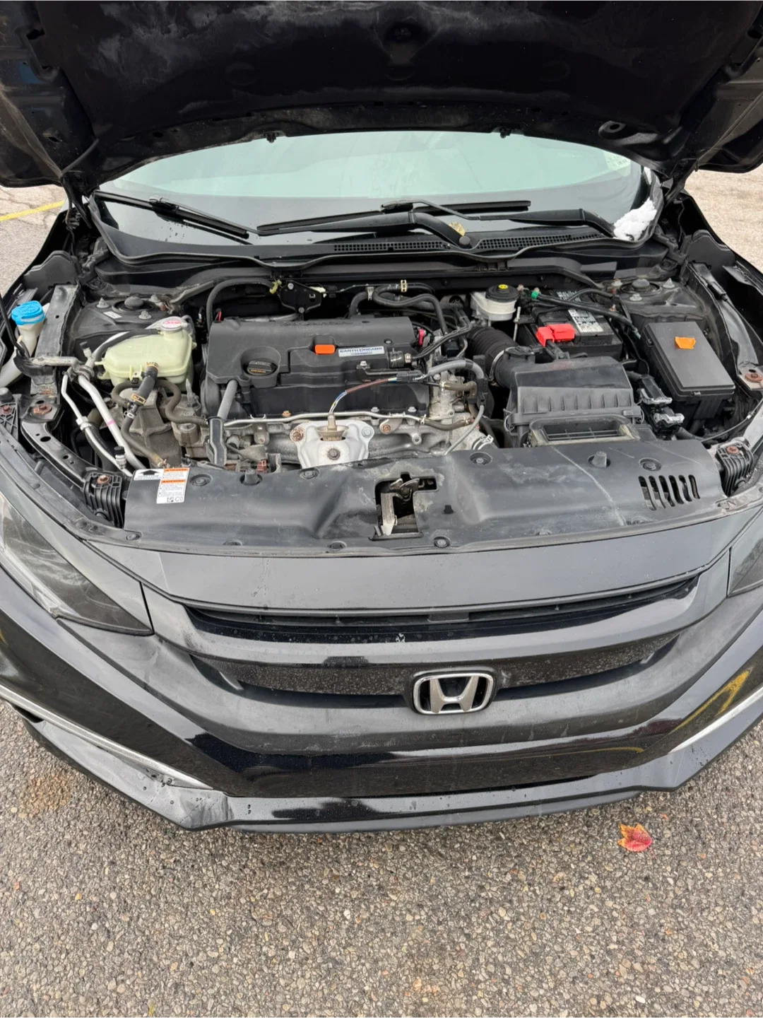 Black Honda Civic image indicator(7)