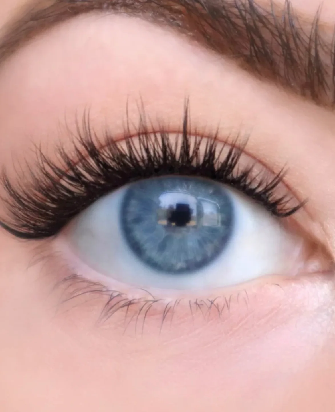 Flutterhabit The Bestie Luxe Faux-Mink Underlash Clusters image indicator(5)