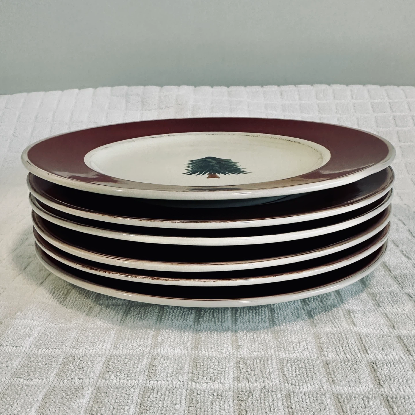 Set of 6 - Pier 1 “Rustic Tree” Hand Painted Stoneware Plates… - photo 4