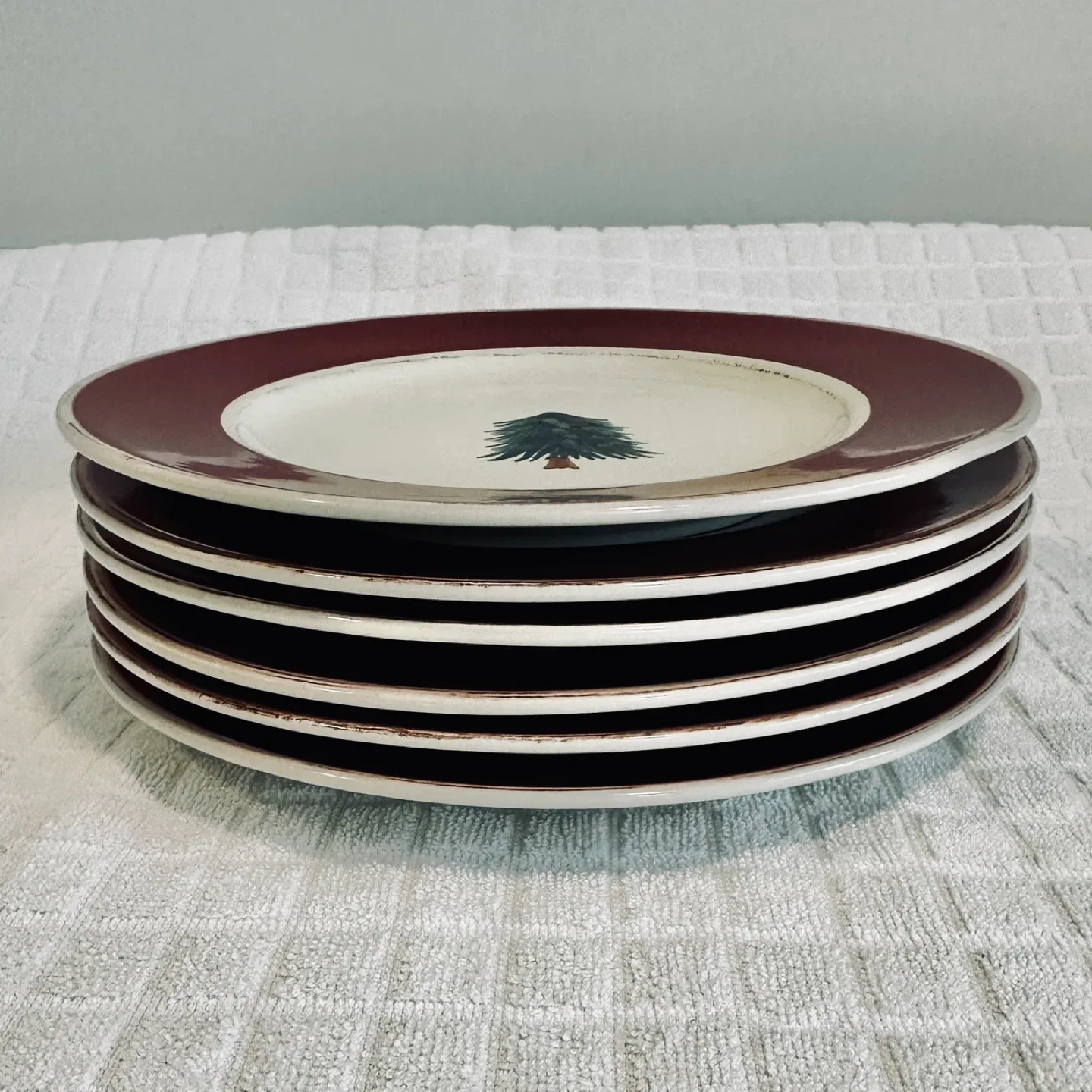 Set of 6 - Pier 1 “Rustic Tree” Hand Painted Stoneware Plates… image indicator(4)