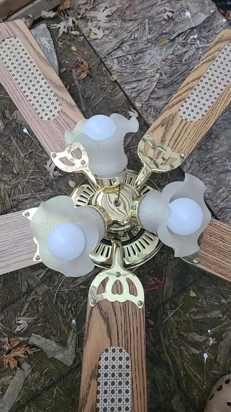 Ceiling Fan with Light Kit image indicator(2)