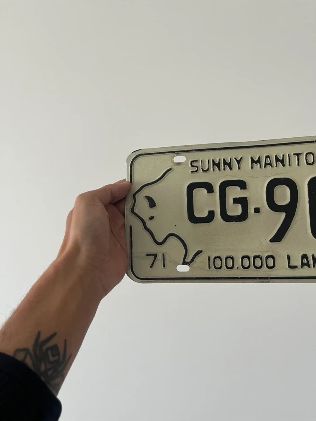 Vintage Sunny Manitoba CG-900 License Plate image indicator(3)