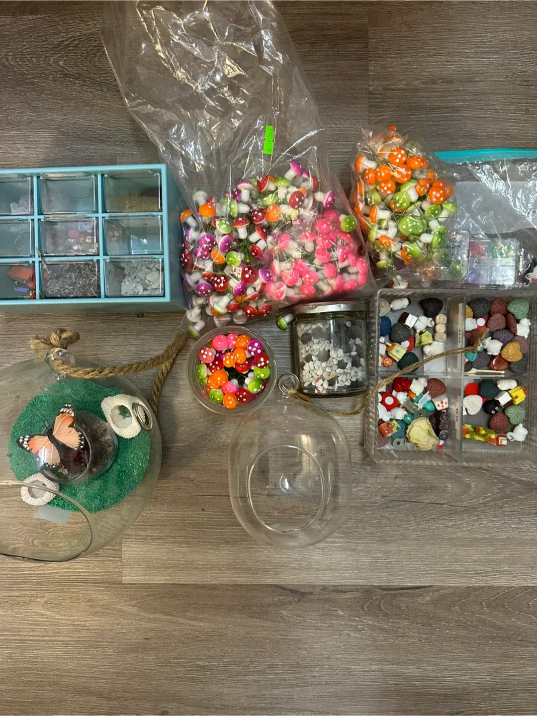 Terrarium, Mini Garden Assorted Supplies