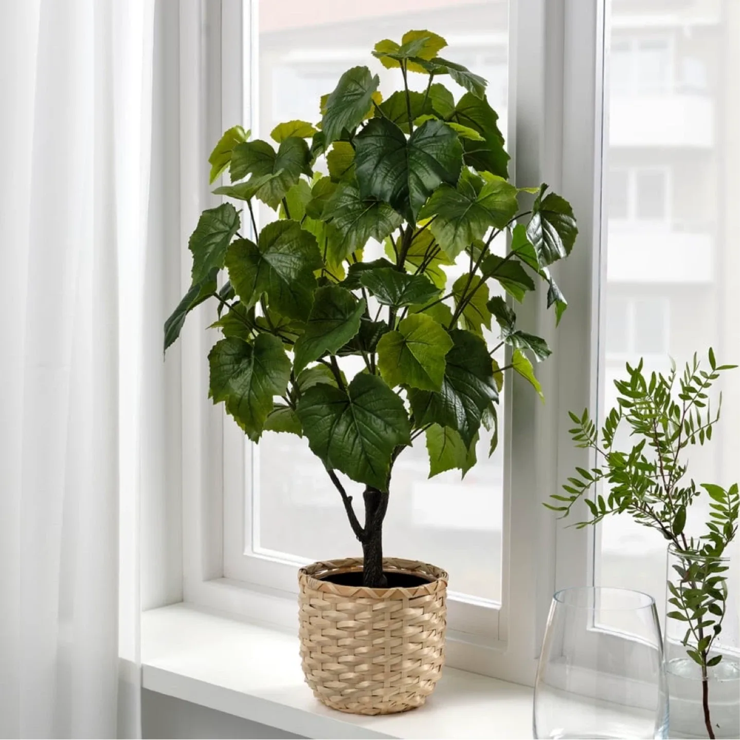 IKEA Potted Plant for Sale image indicator(2)