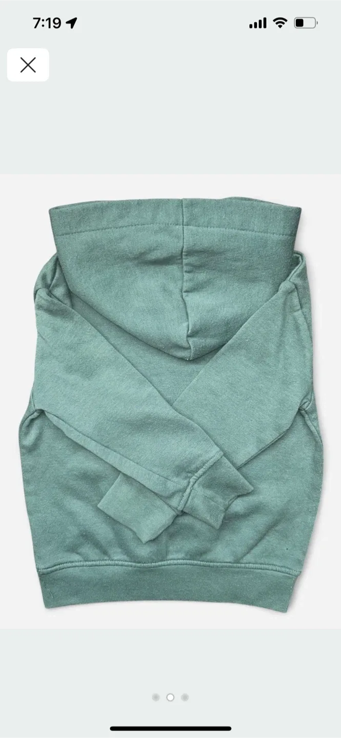 Monkey Bars Kids' Hoodie - Size 2-3 image indicator(2)