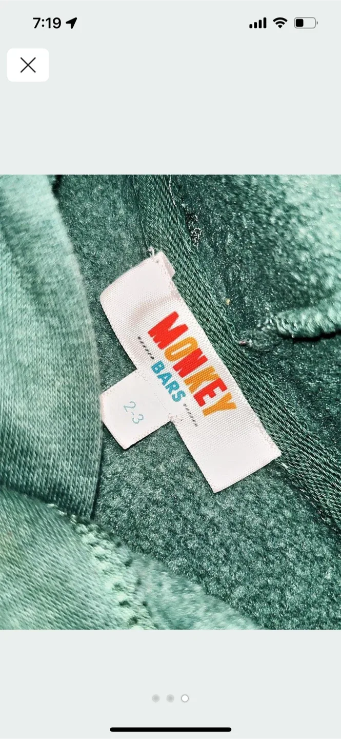 Monkey Bars Kids' Hoodie - Size 2-3 image indicator(3)