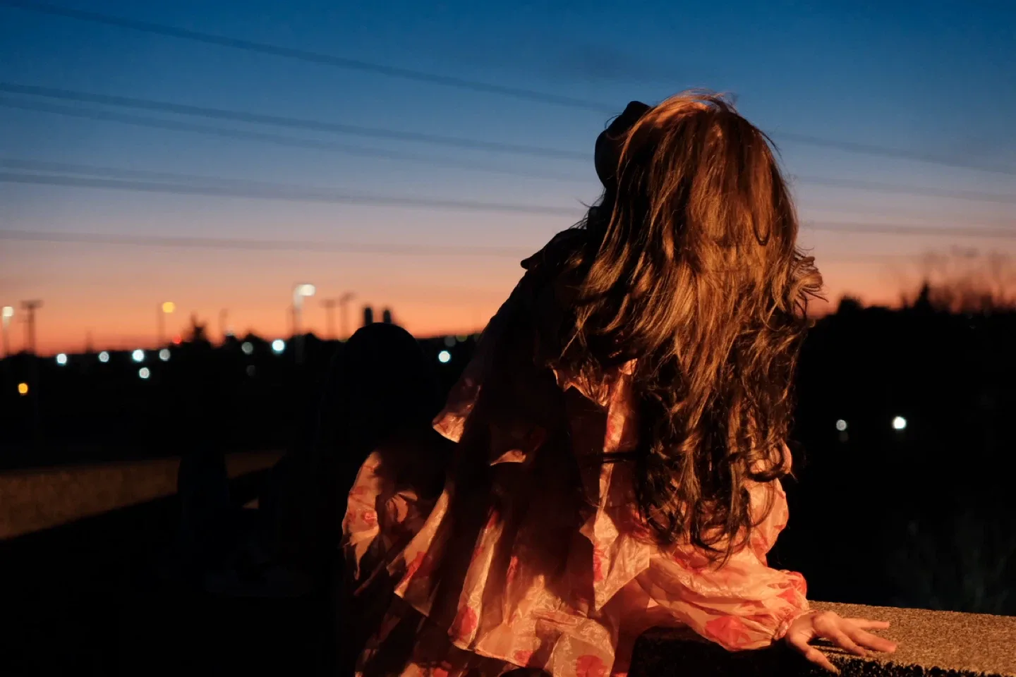 rose dress image indicator(2)