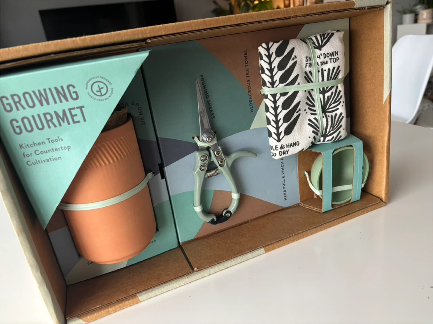 Growing Kit - Gift