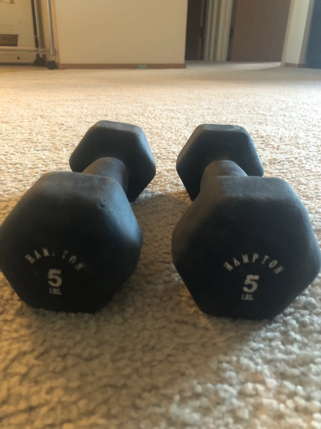 Dumbbells and workout ball image indicator(2)