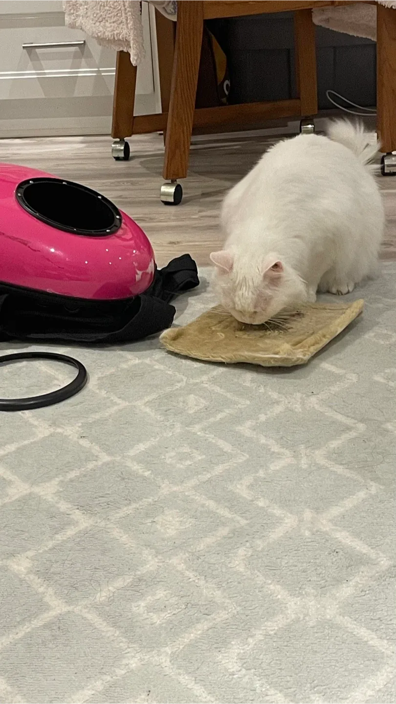 Pink Pet Carrier Backpack image indicator(2)