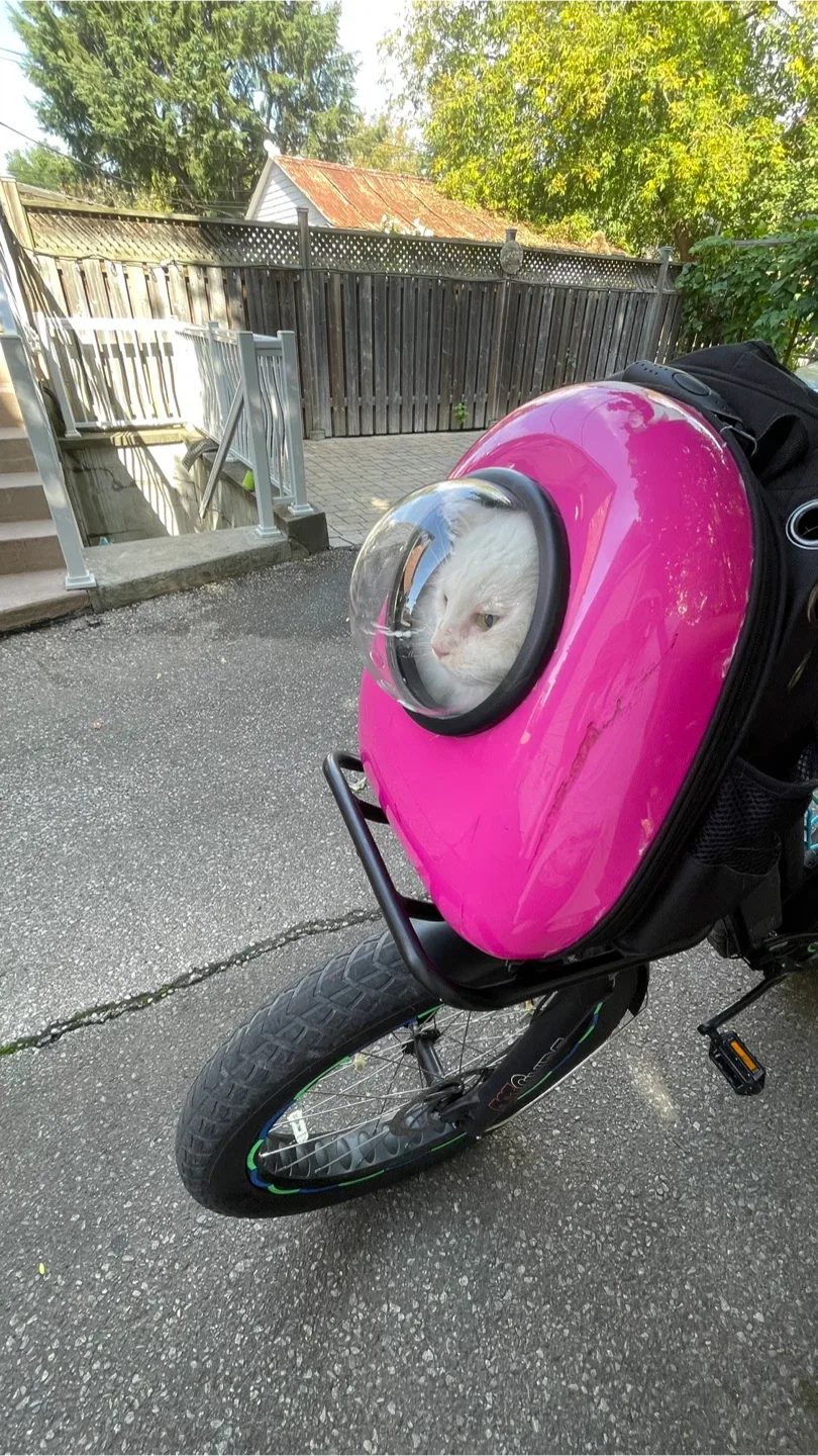 Pink Pet Carrier Backpack image indicator(3)