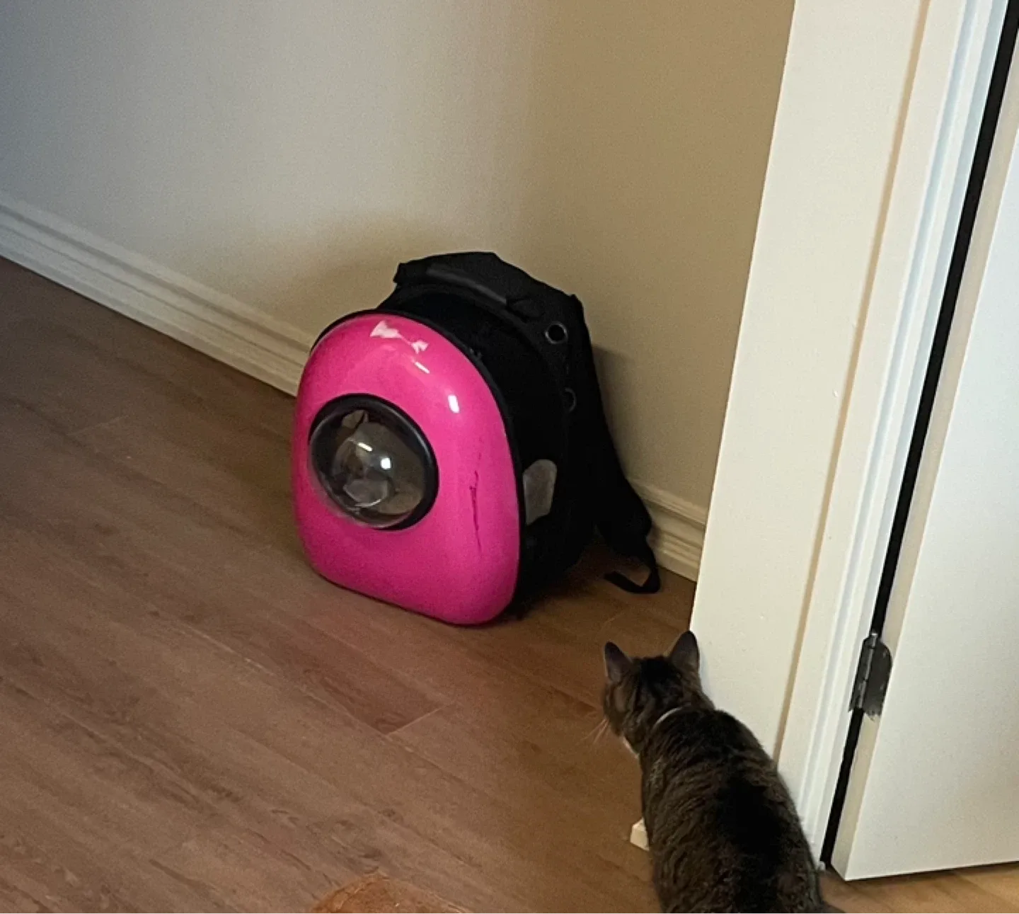 Pink Pet Carrier Backpack image indicator(4)